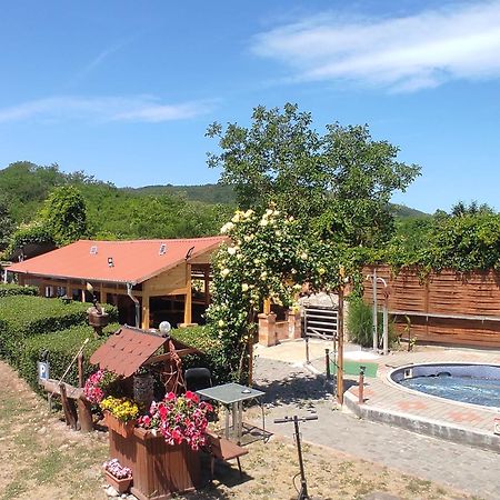 Guesthouse Ilona Velky Kamenec エクステリア 写真