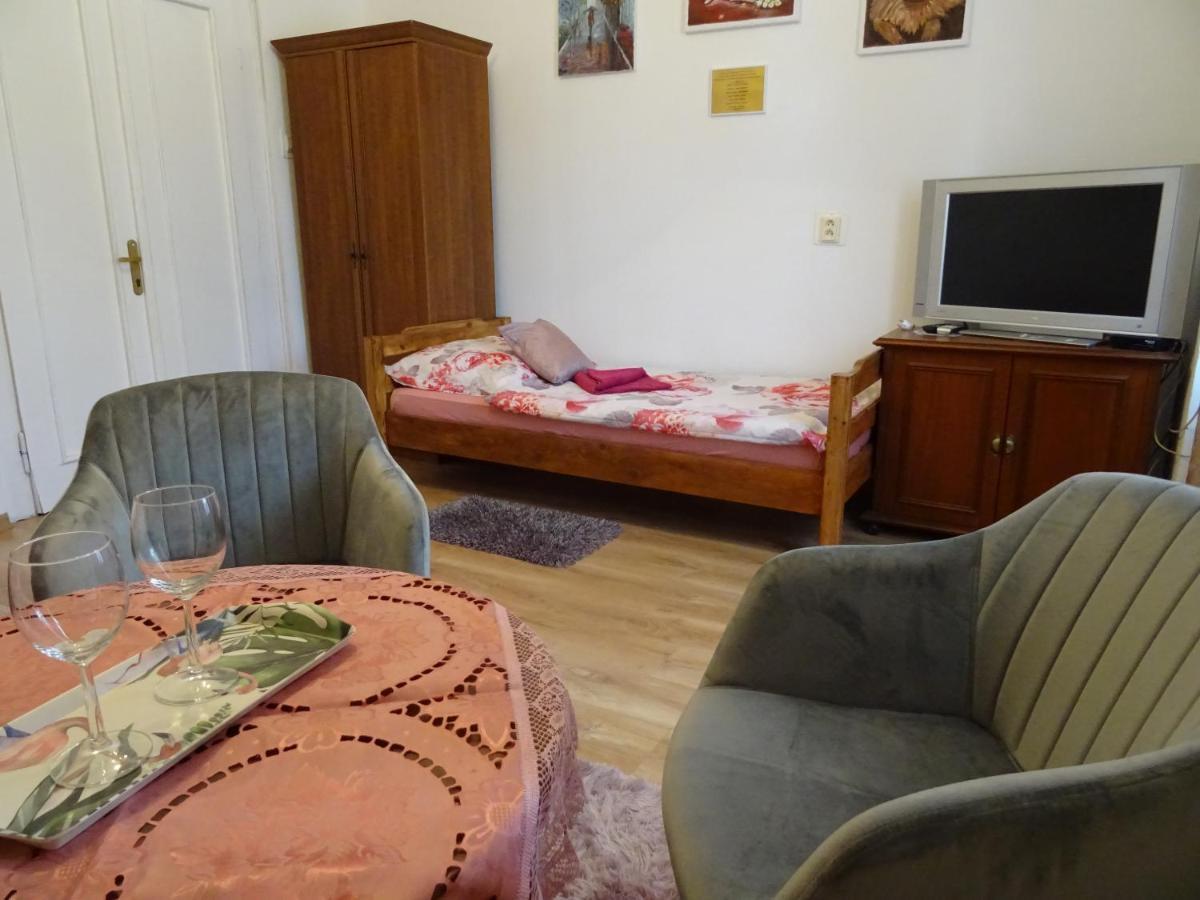Guesthouse Ilona Velky Kamenec エクステリア 写真