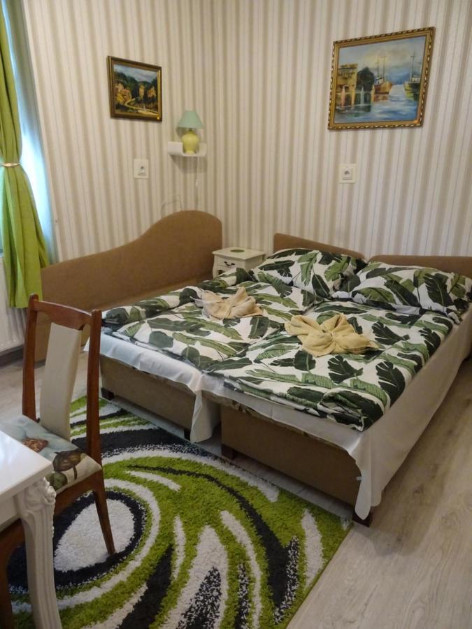 Guesthouse Ilona Velky Kamenec エクステリア 写真