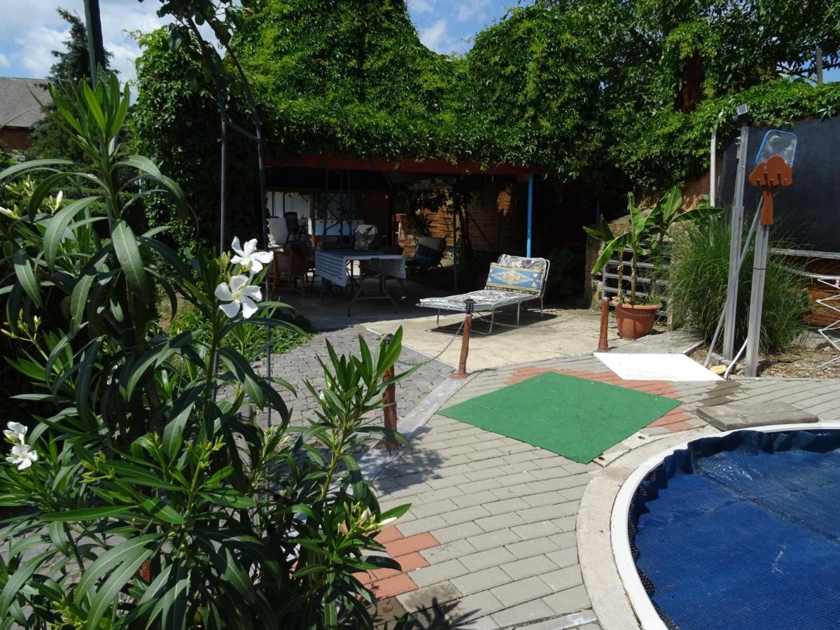 Guesthouse Ilona Velky Kamenec エクステリア 写真