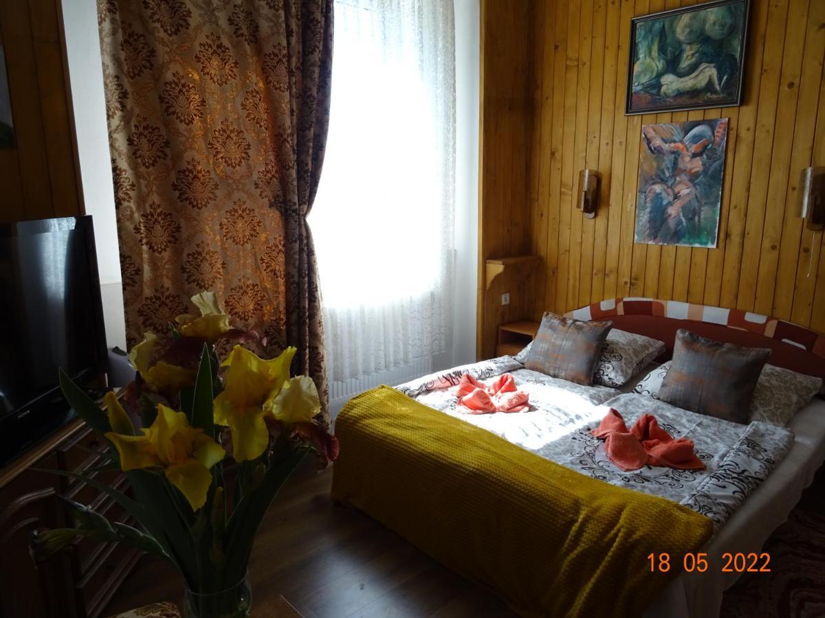 Guesthouse Ilona Velky Kamenec エクステリア 写真