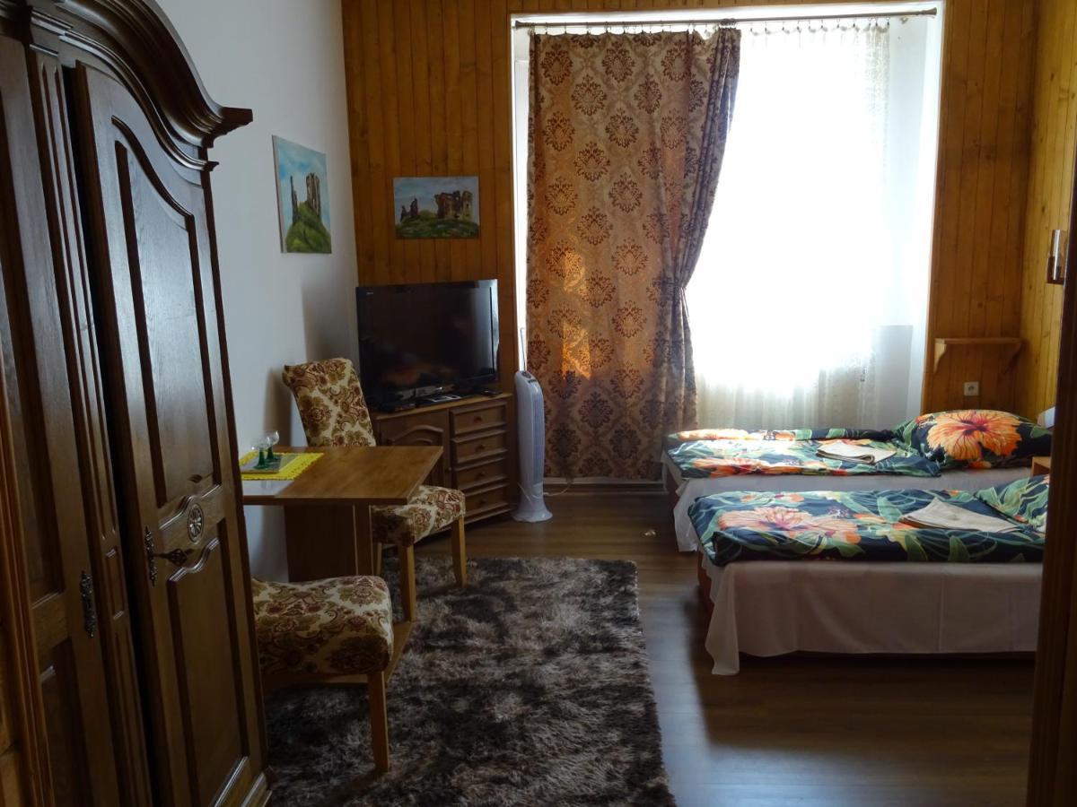 Guesthouse Ilona Velky Kamenec エクステリア 写真