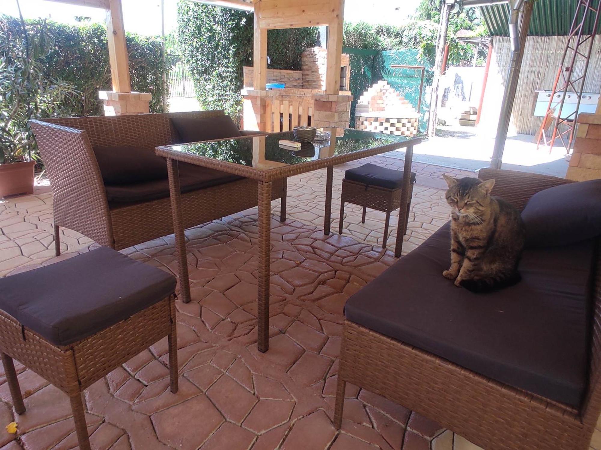 Guesthouse Ilona Velky Kamenec エクステリア 写真