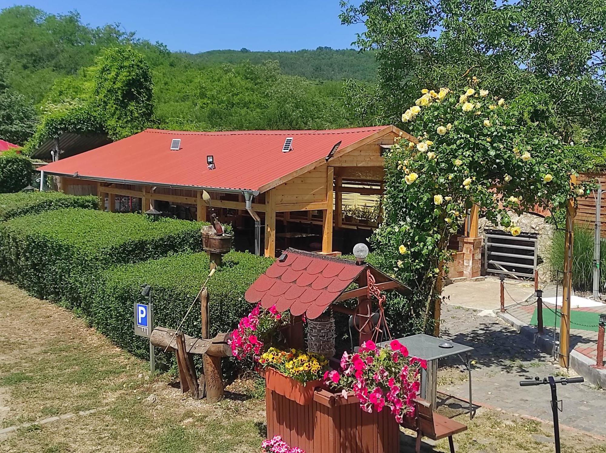 Guesthouse Ilona Velky Kamenec エクステリア 写真