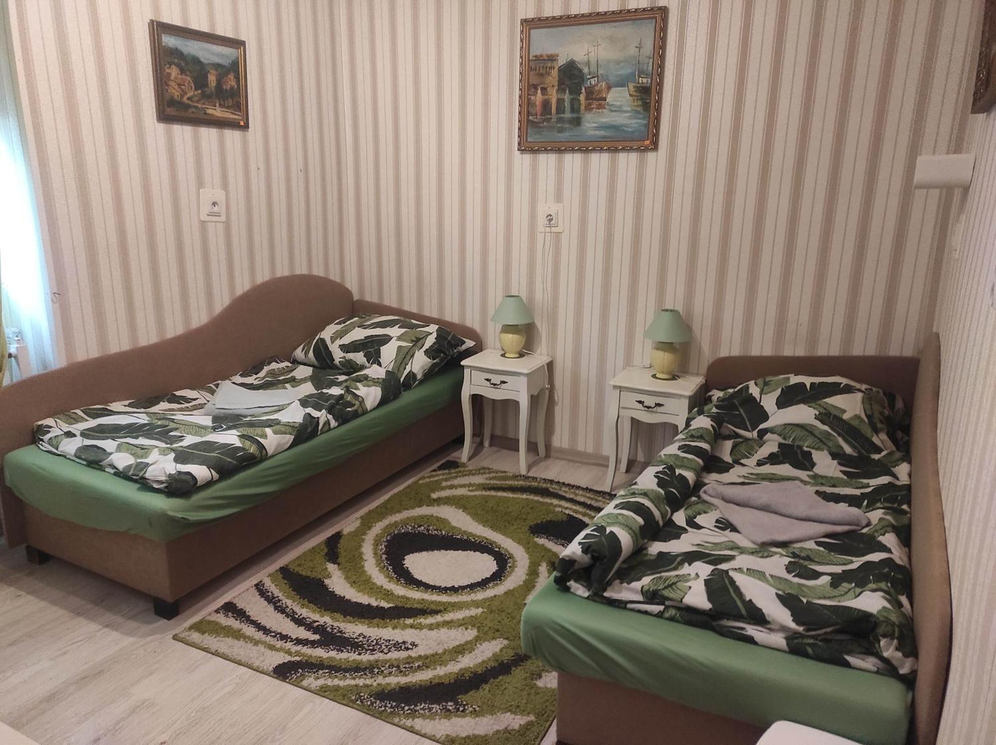Guesthouse Ilona Velky Kamenec エクステリア 写真