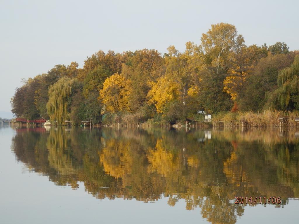 Guesthouse Ilona Velky Kamenec エクステリア 写真